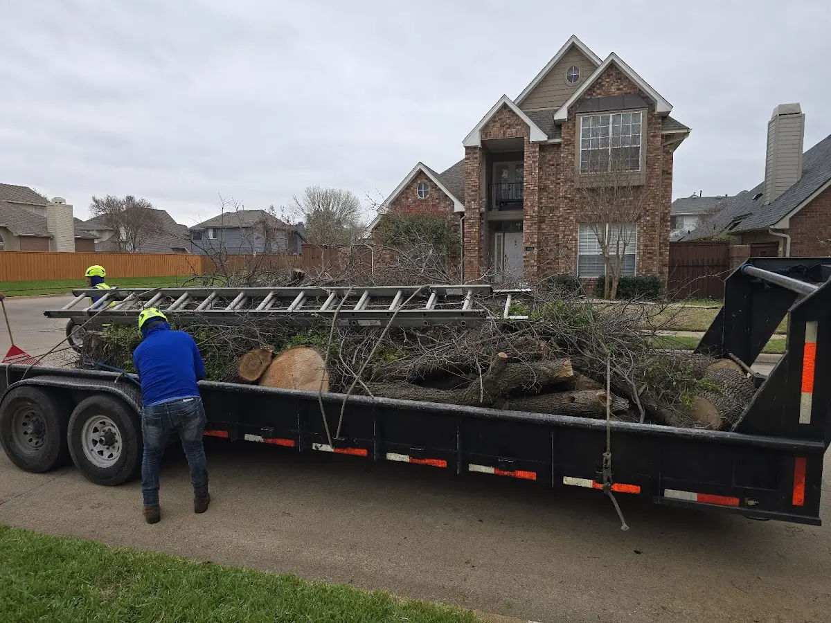 Expert Tree Fertilization with proper safety equipment in Kimball